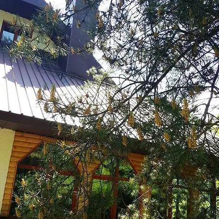 Pandora