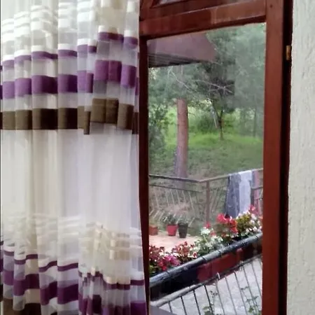 Pandora Маврово